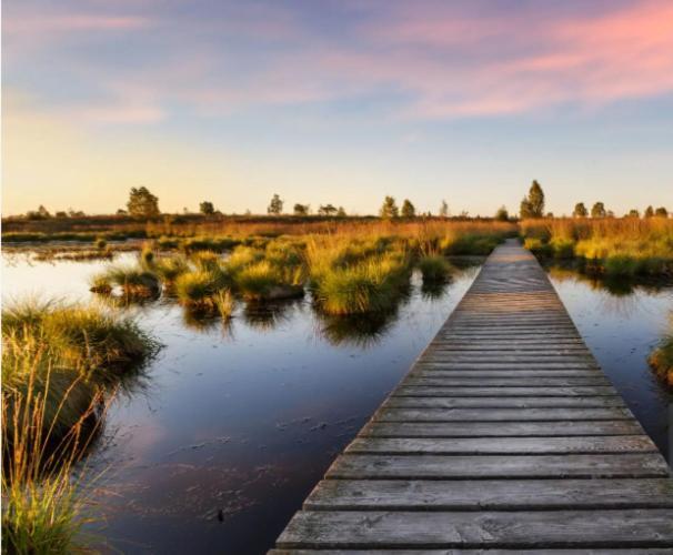 Gite Ardennes Au Coin Du Feu Jacuzzi Sauna Et Nature Jalhay Εξωτερικό φωτογραφία