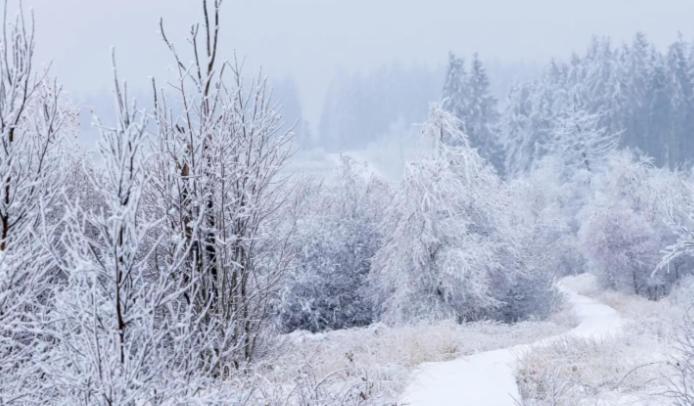 Gite Ardennes Au Coin Du Feu Jacuzzi Sauna Et Nature Jalhay Εξωτερικό φωτογραφία